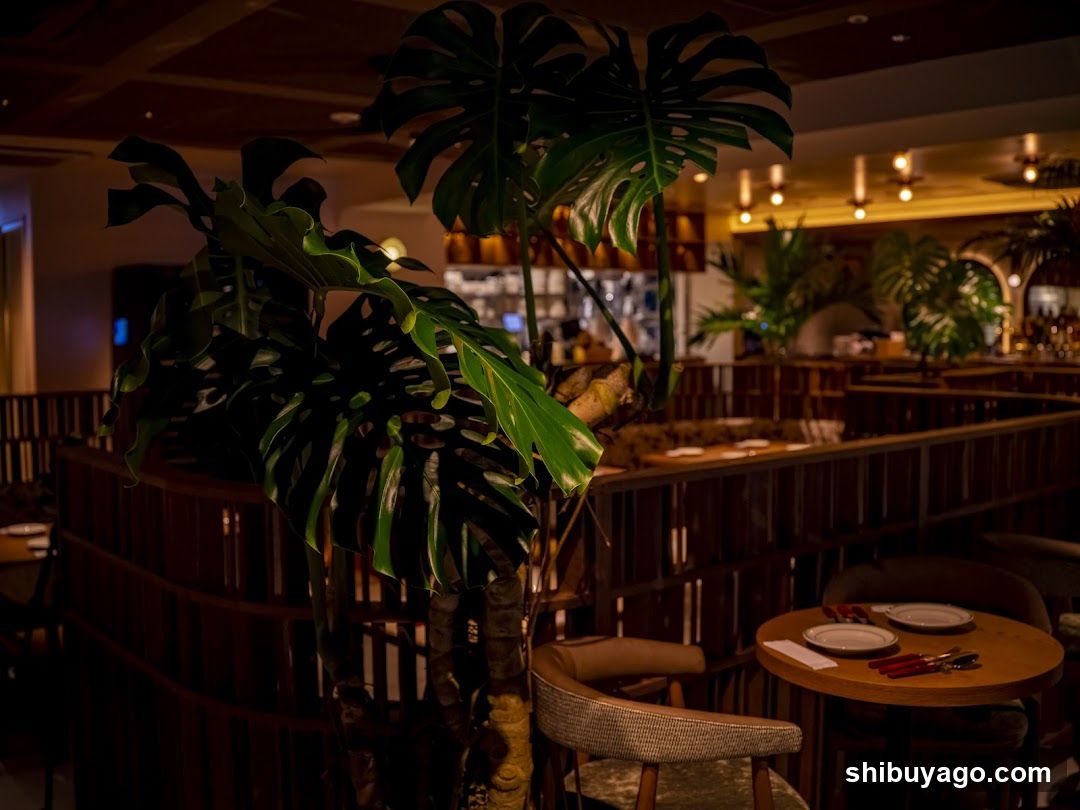 Restaurant Interior with Monstera Plants