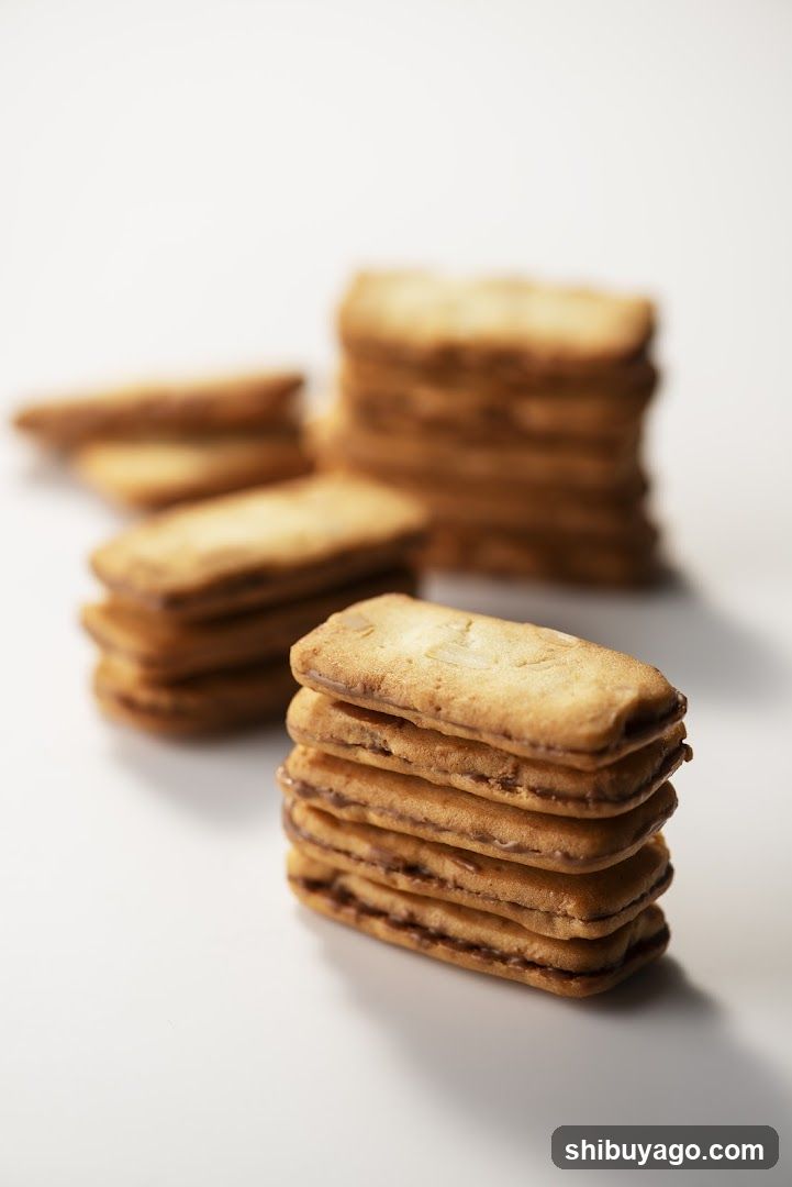 Stacks of Biscuits