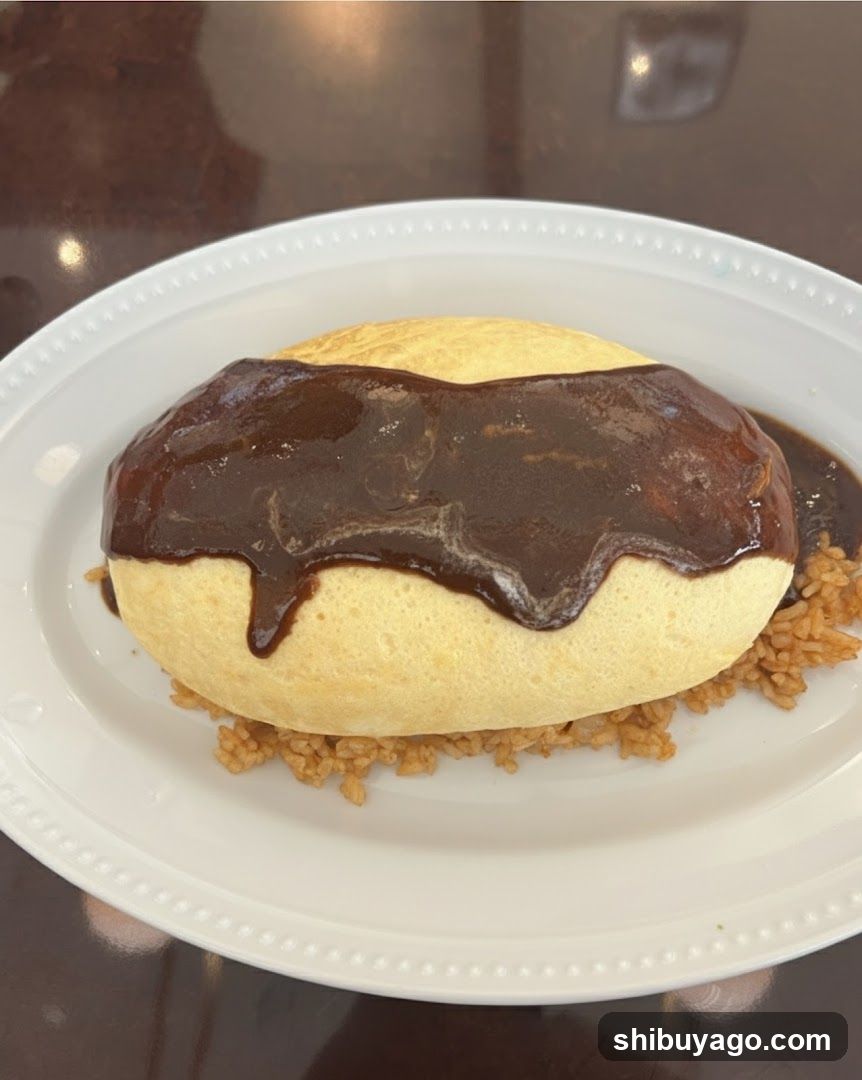 Omelette Rice Dish with Sauce