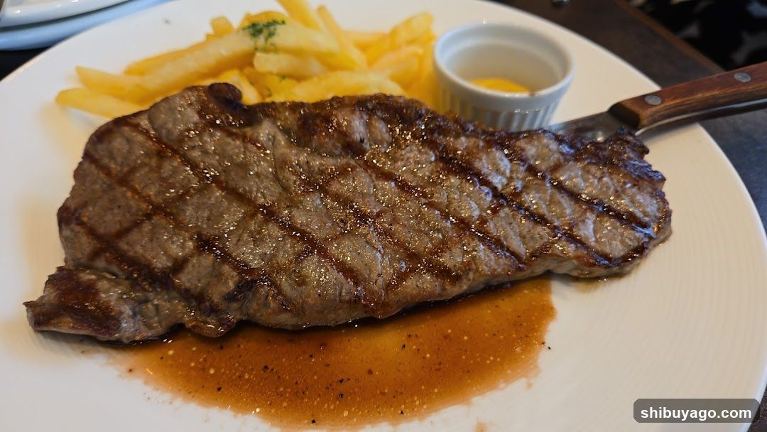Grilled Steak with Fries