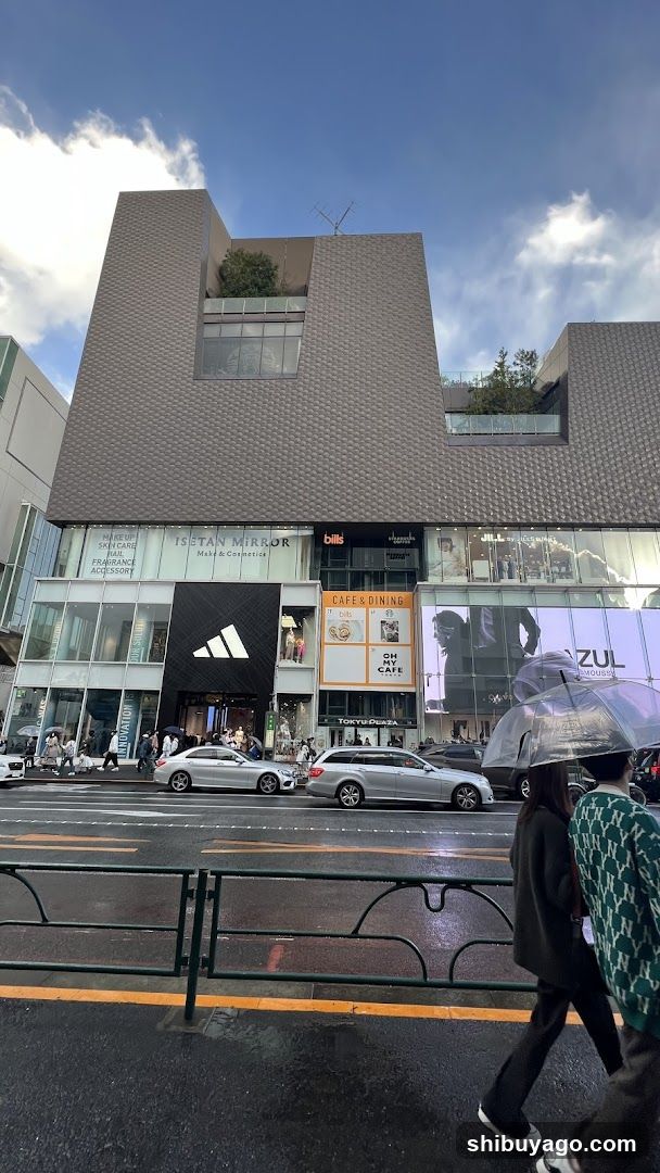 Urban Street Scene with Shopping Complex