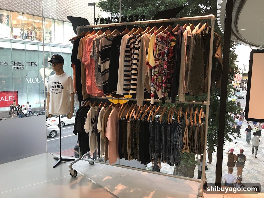 Fashion Store Display