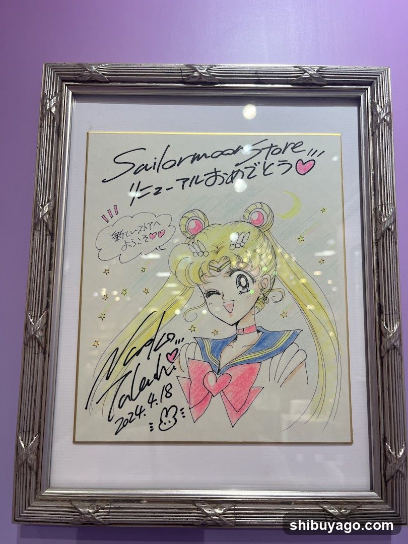 Sailor Moon Store Illustration