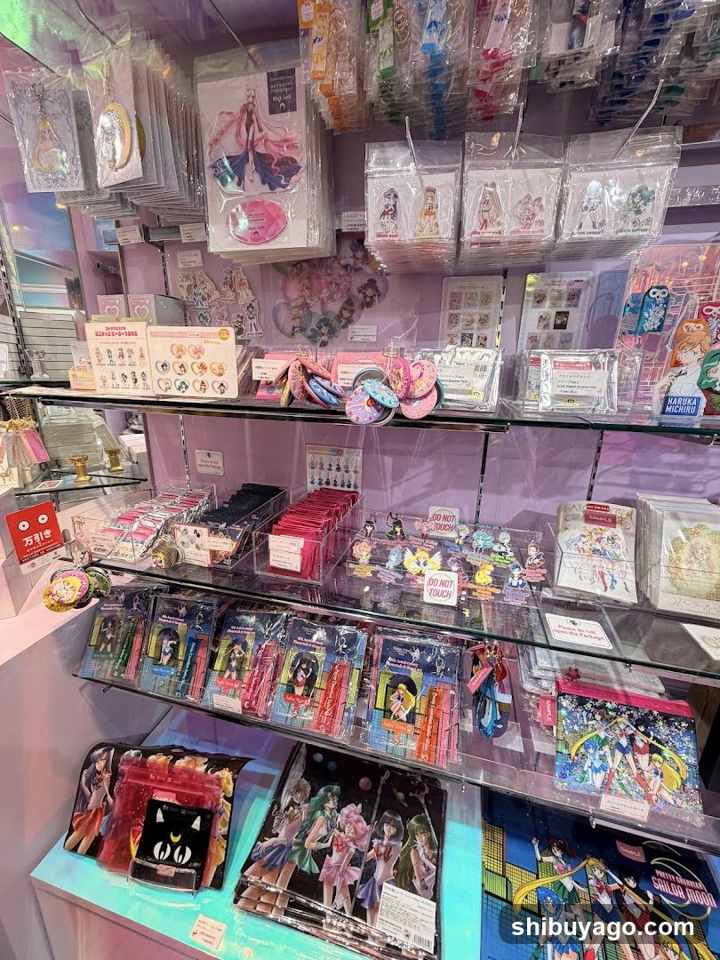 Merchandise Display Shelf