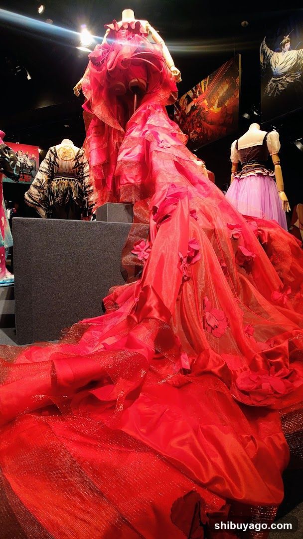 Red Gown Display