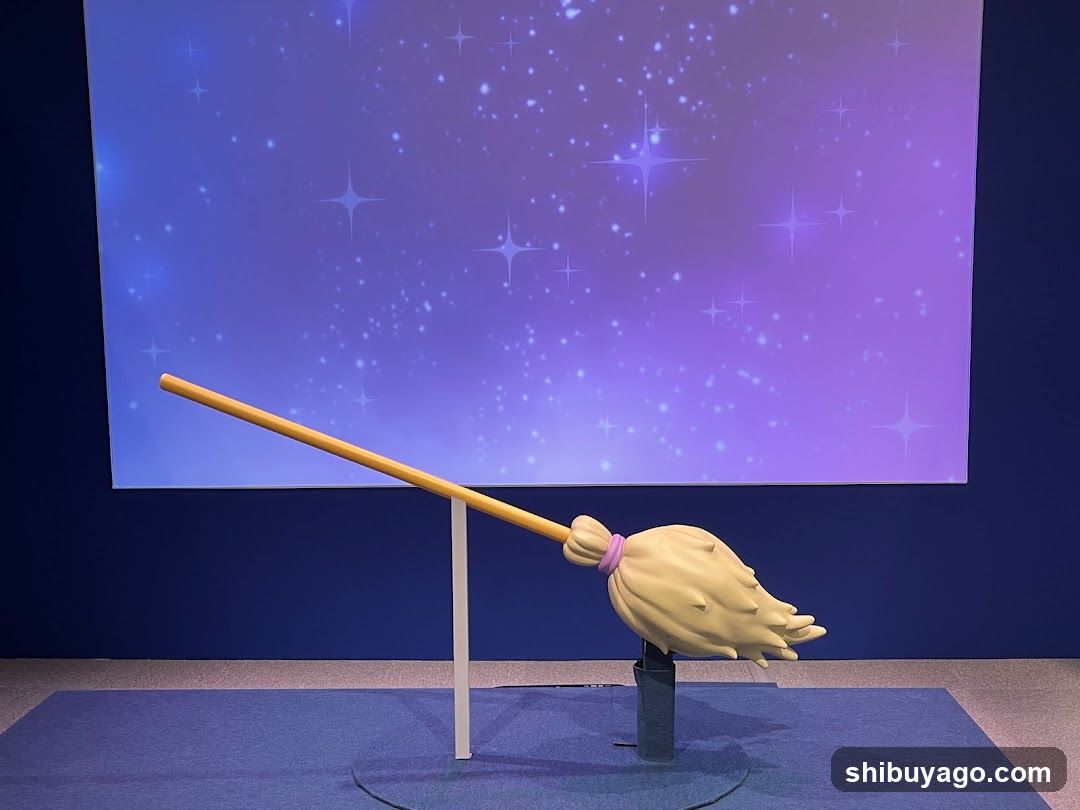 Broom Display