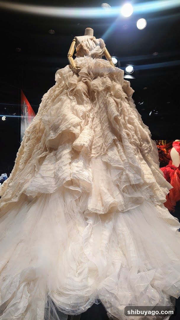Exhibition of elaborate gowns