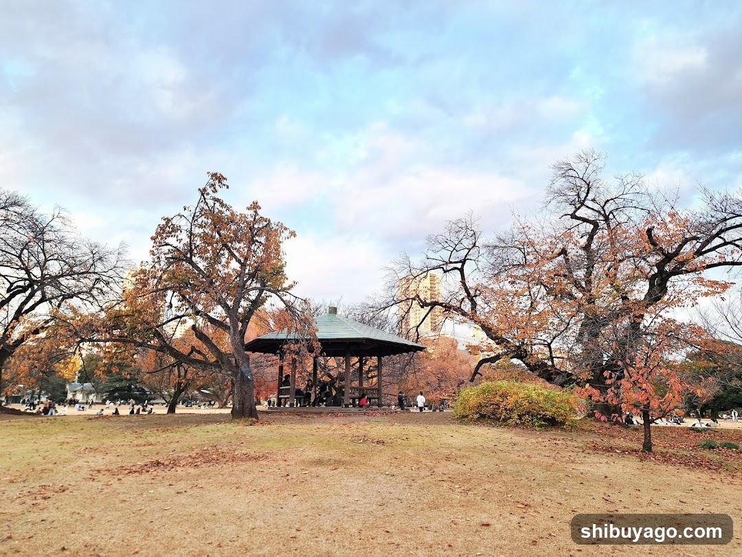 Park Scene with Pavilion and Autumn Trees