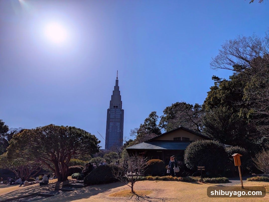 Tokyo Tower from a park