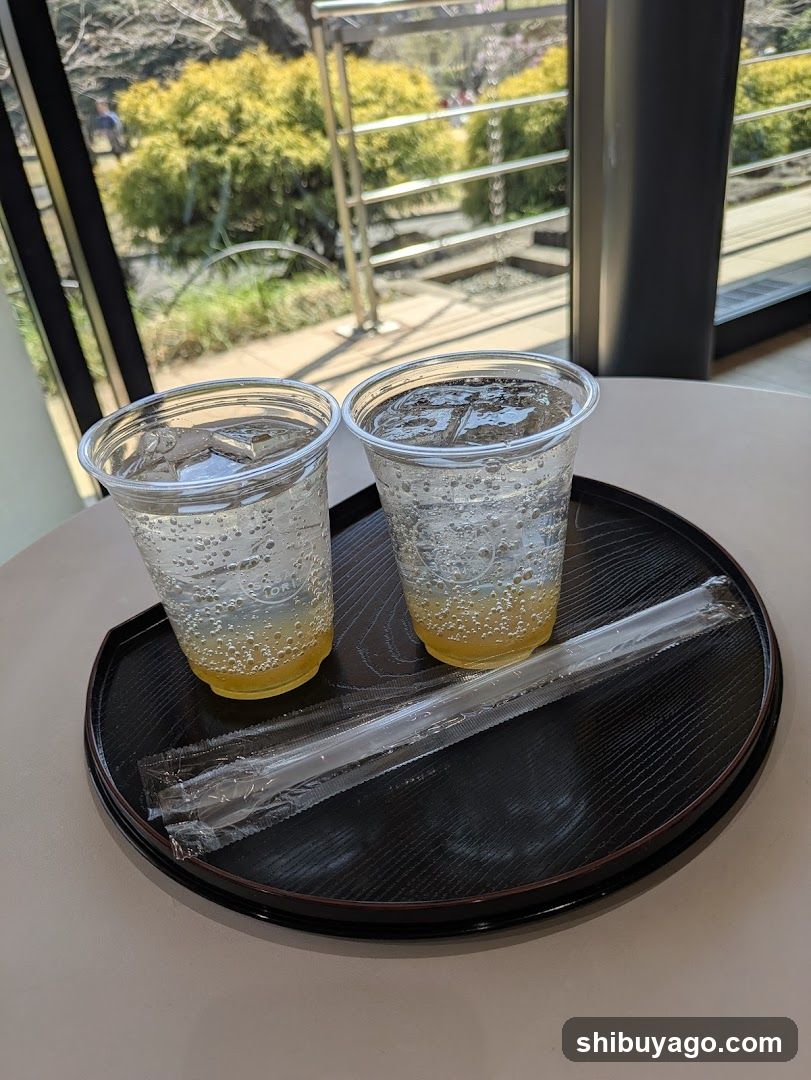 Two cups of iced beverage on a tray