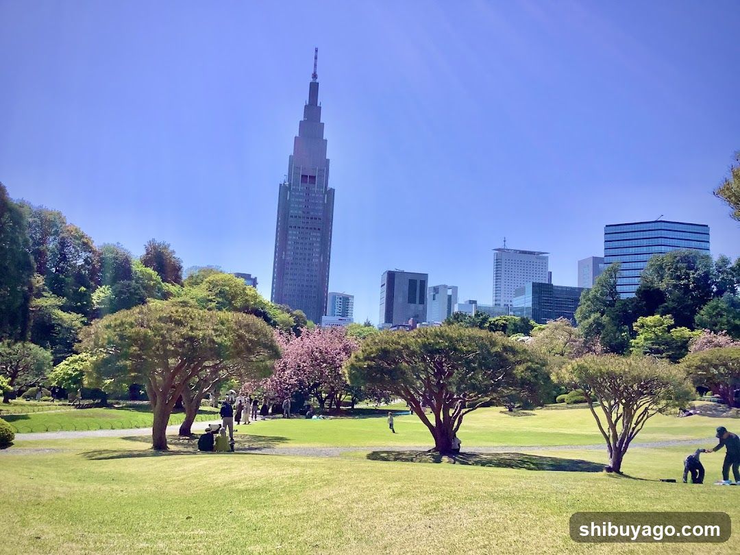 Tokyo Skyline from Park