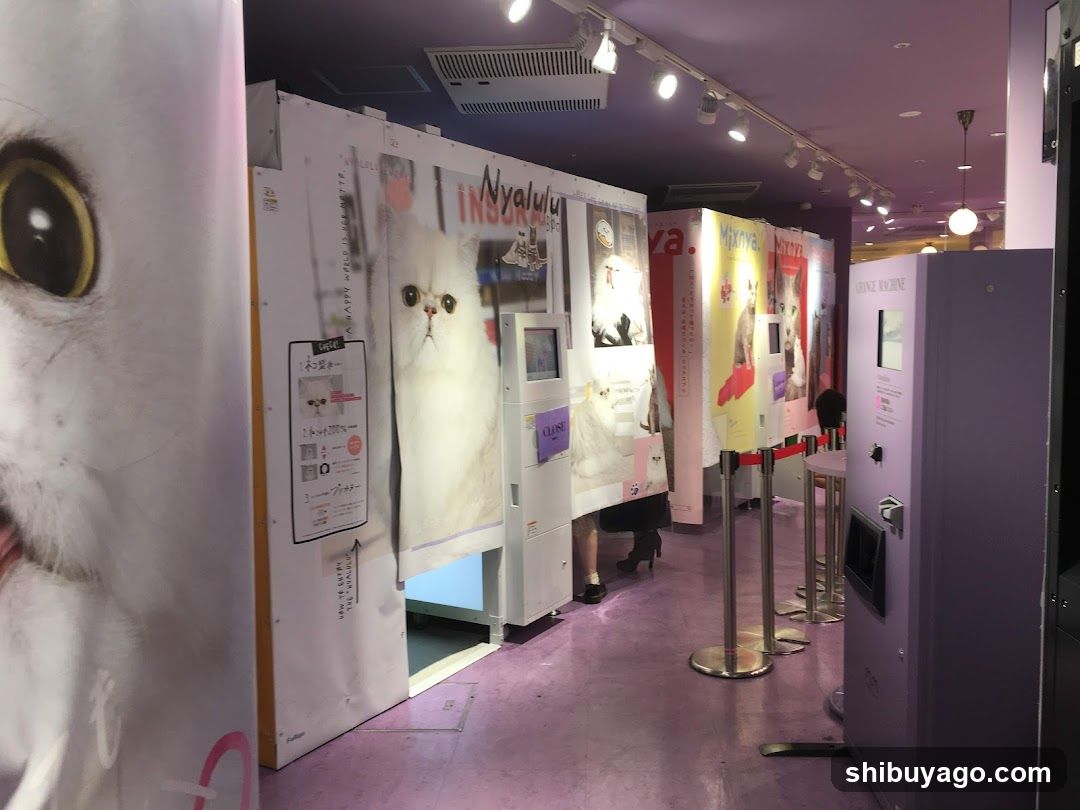 Cat-themed photo booth area