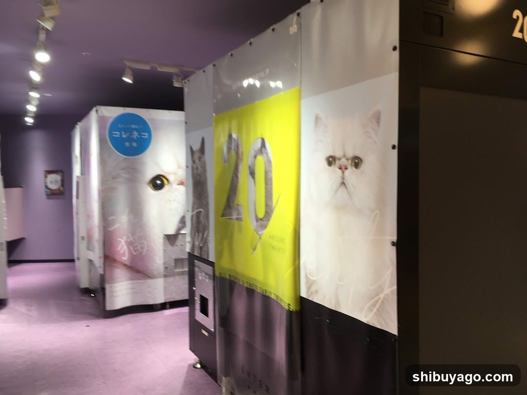 Cat-themed vending machines