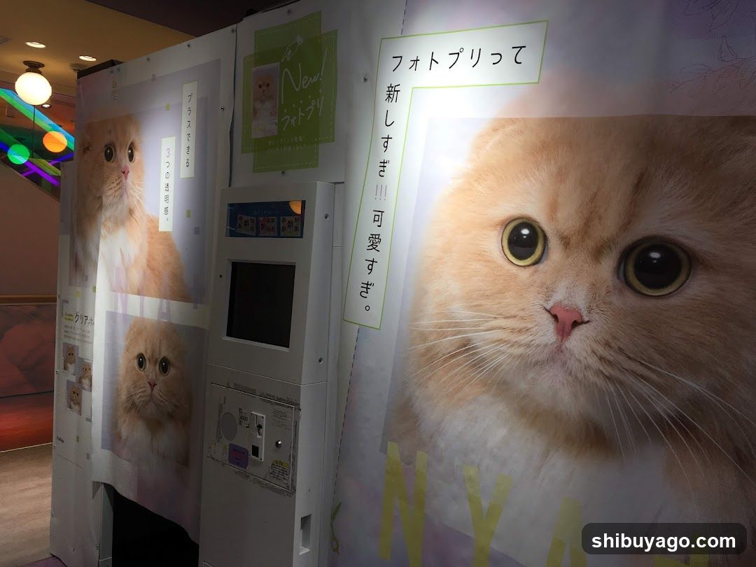 Cat Photo Booth Kiosk