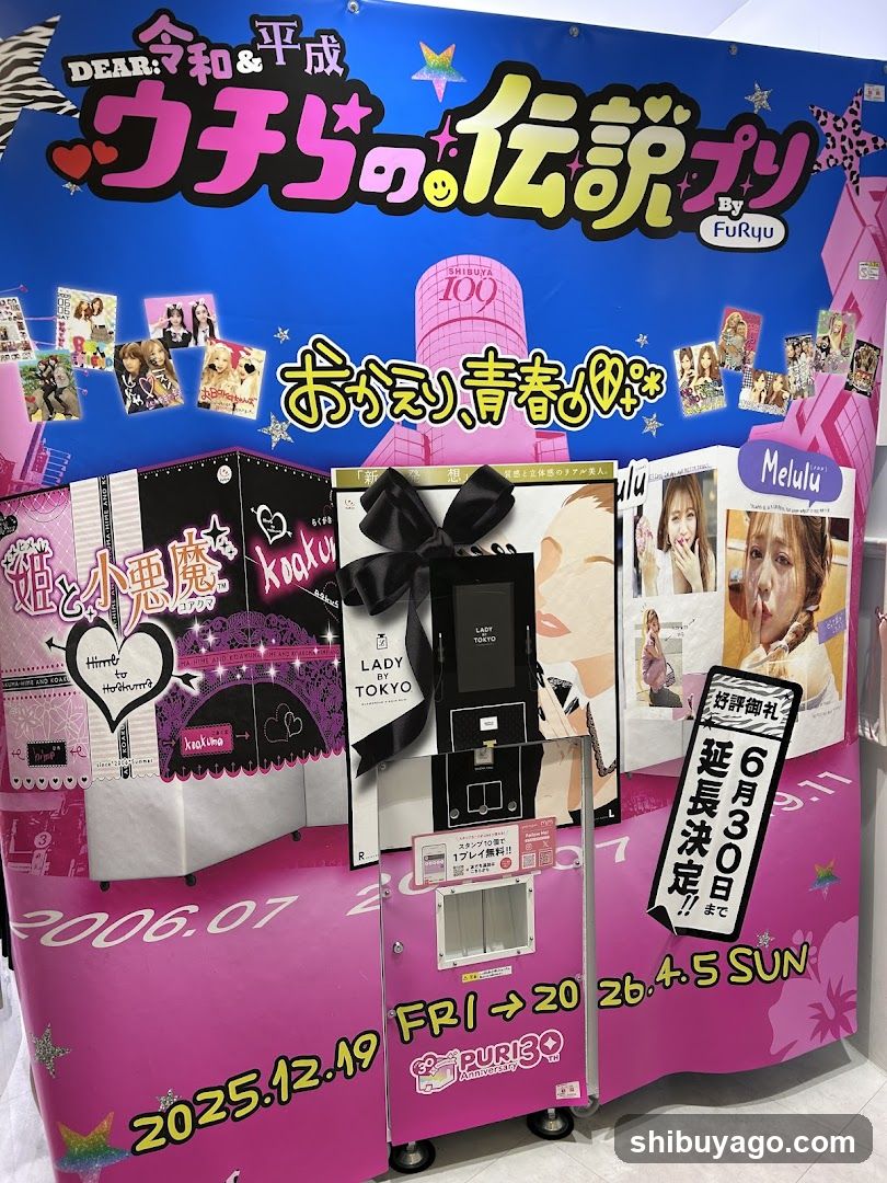 Furuu Exhibition Display