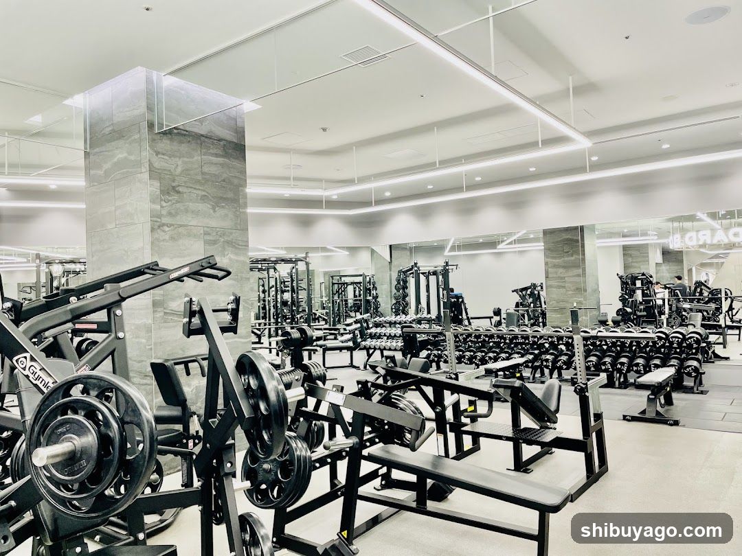Modern Gym Interior