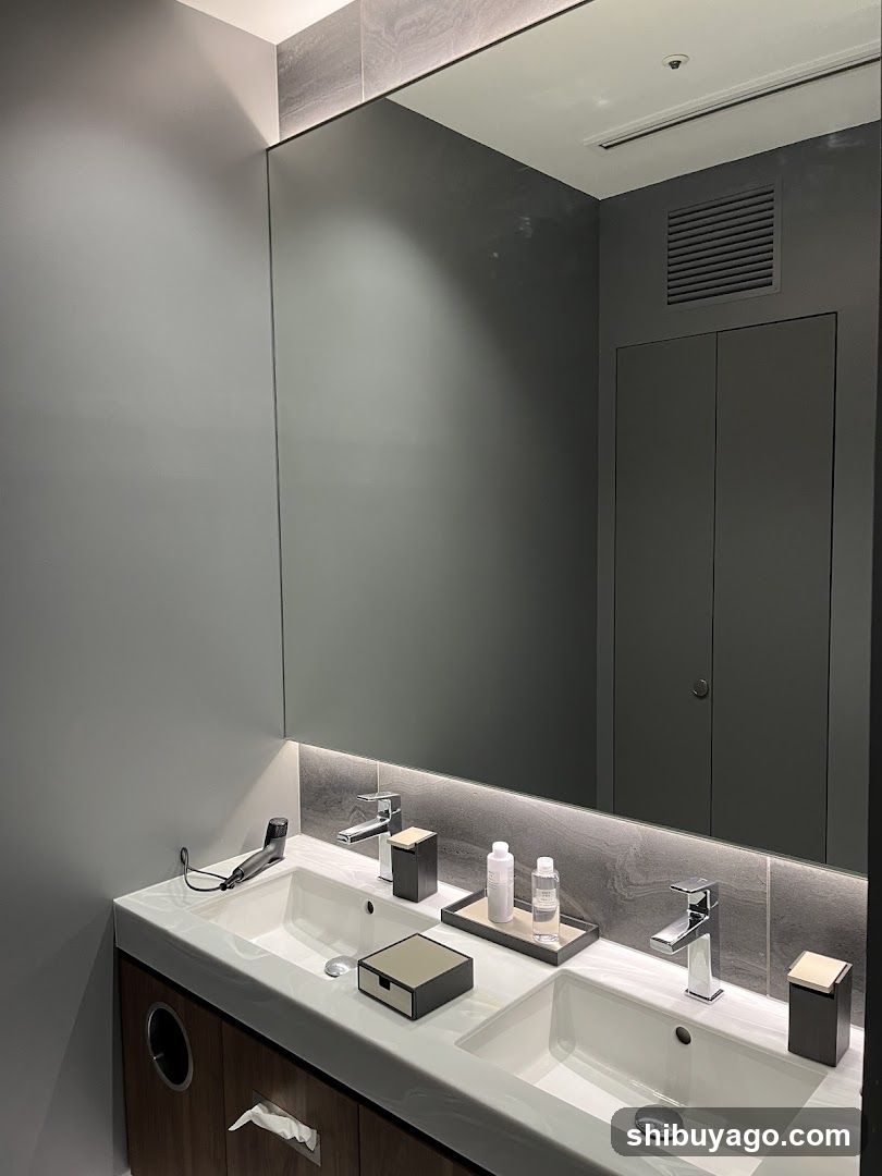Modern Bathroom Vanity
