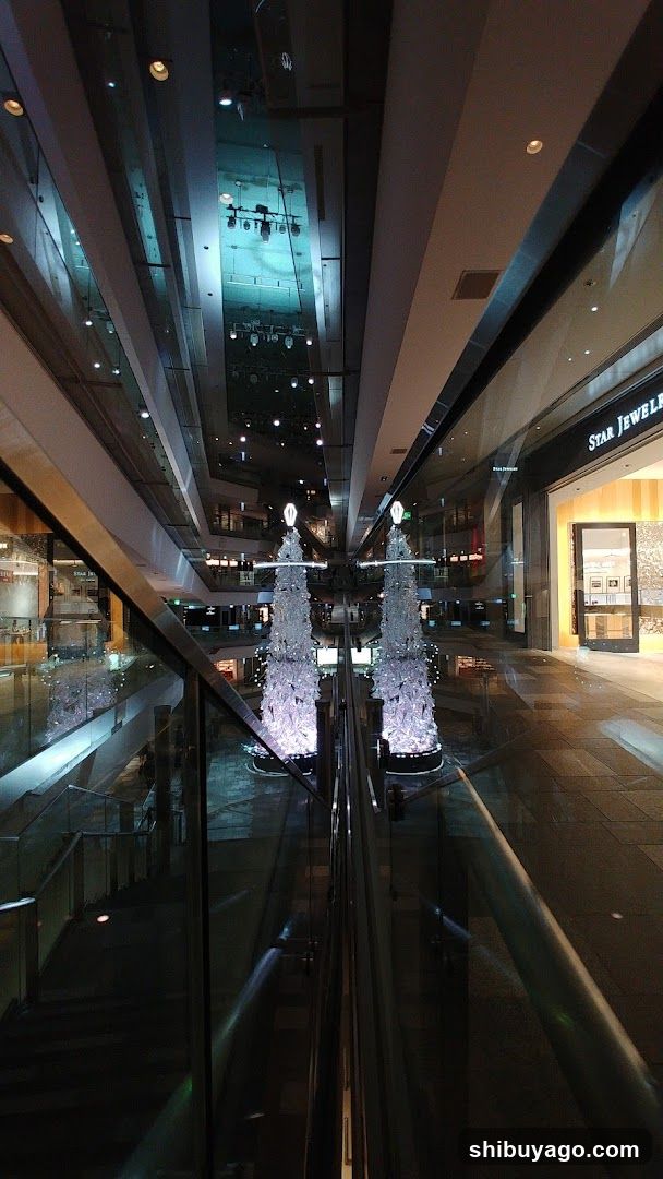 Shopping Mall Interior with Decorations