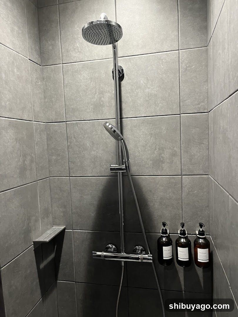 Modern Shower Interior