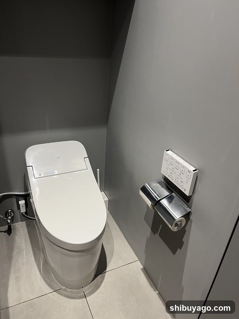 Modern Toilet Interior