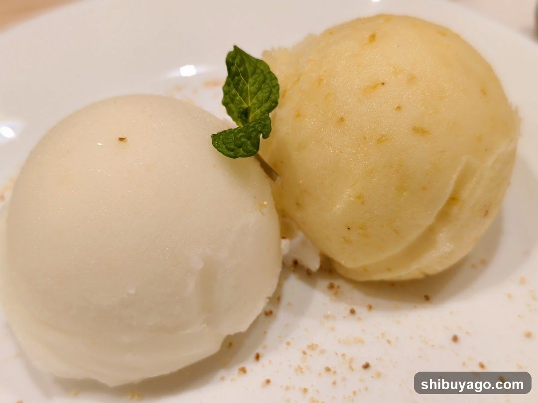 Dessert with Ice Cream and Mint