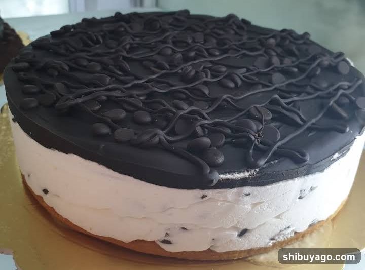 Chocolate and Cream Cake