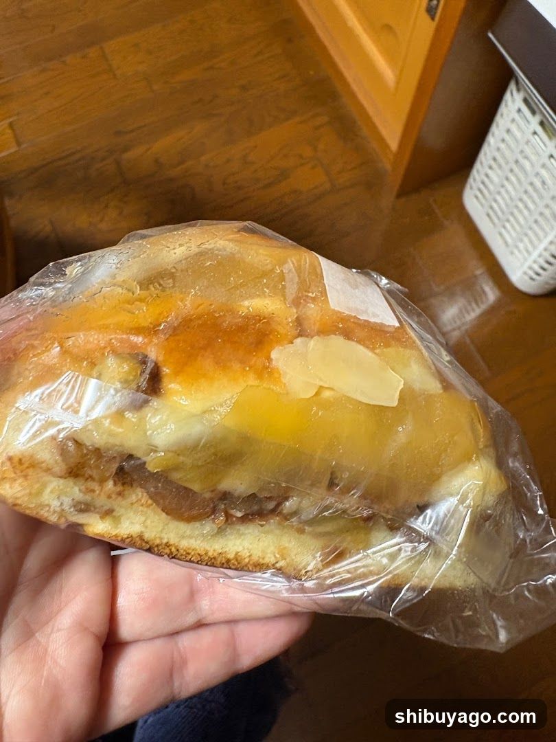 Handheld Sandwich in Plastic Wrap