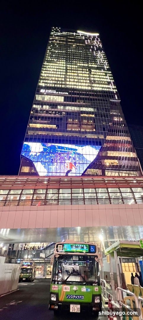 Night City Scene with Bus and Building