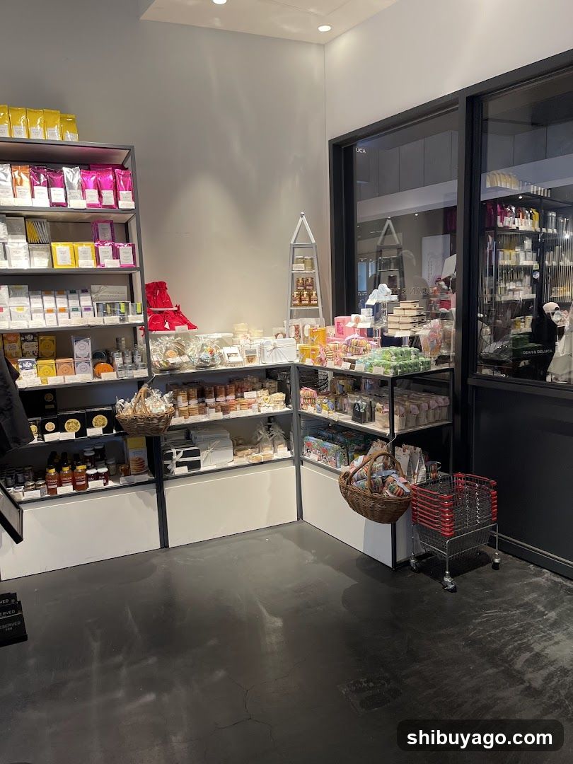 Interior of a retail store with shelves and products