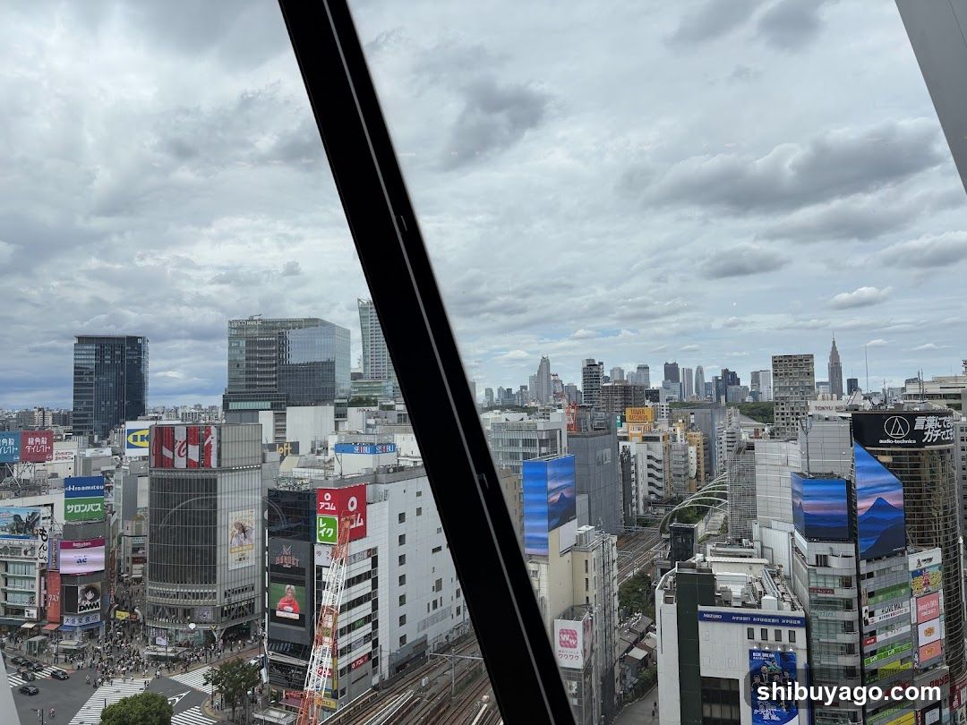 Tokyo Cityscape View from High Building
