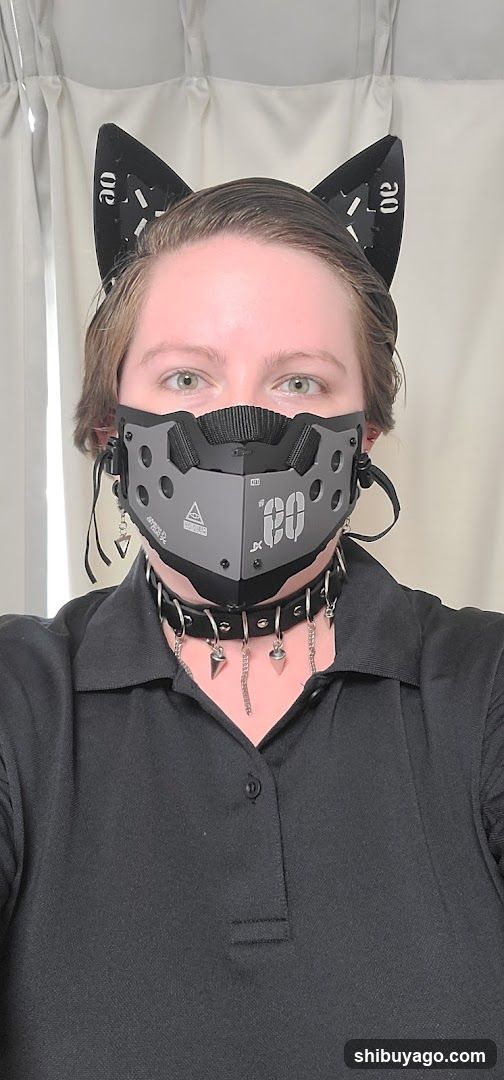Person with Cat Ears and Mask