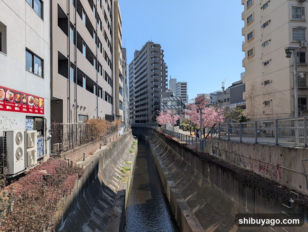 Shibuya River Street
