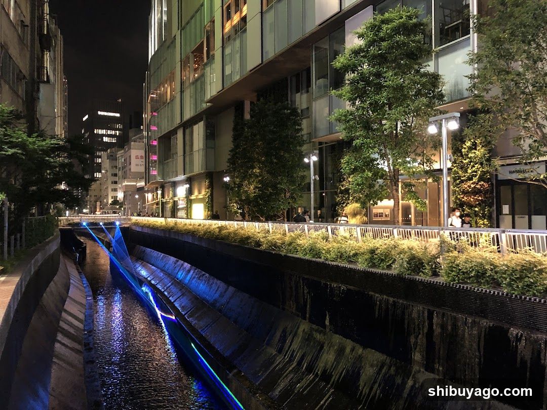 Night canal scene with illuminated water feature