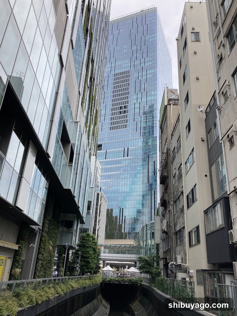 Urban Street View with Modern and Traditional Buildings