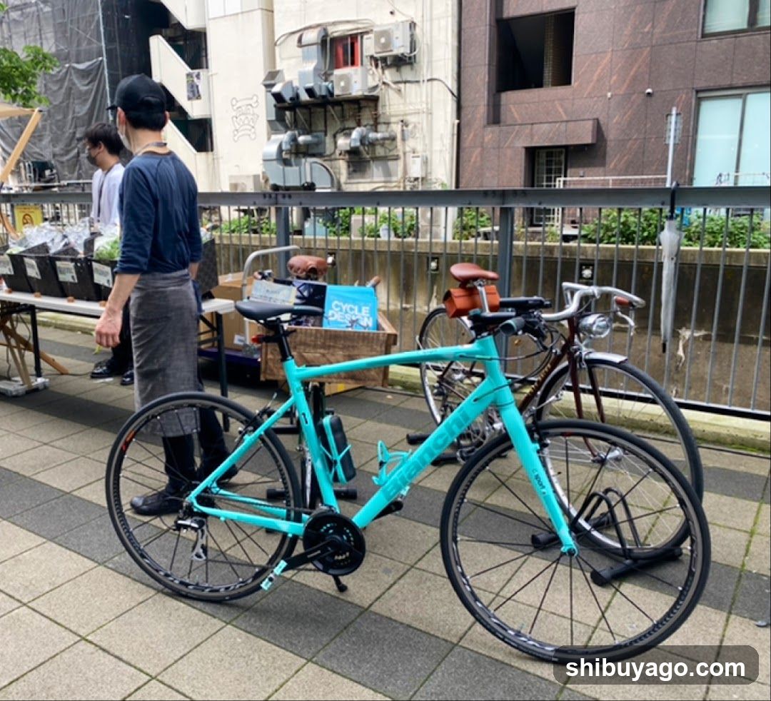 Bicycle Display at Outdoor Event