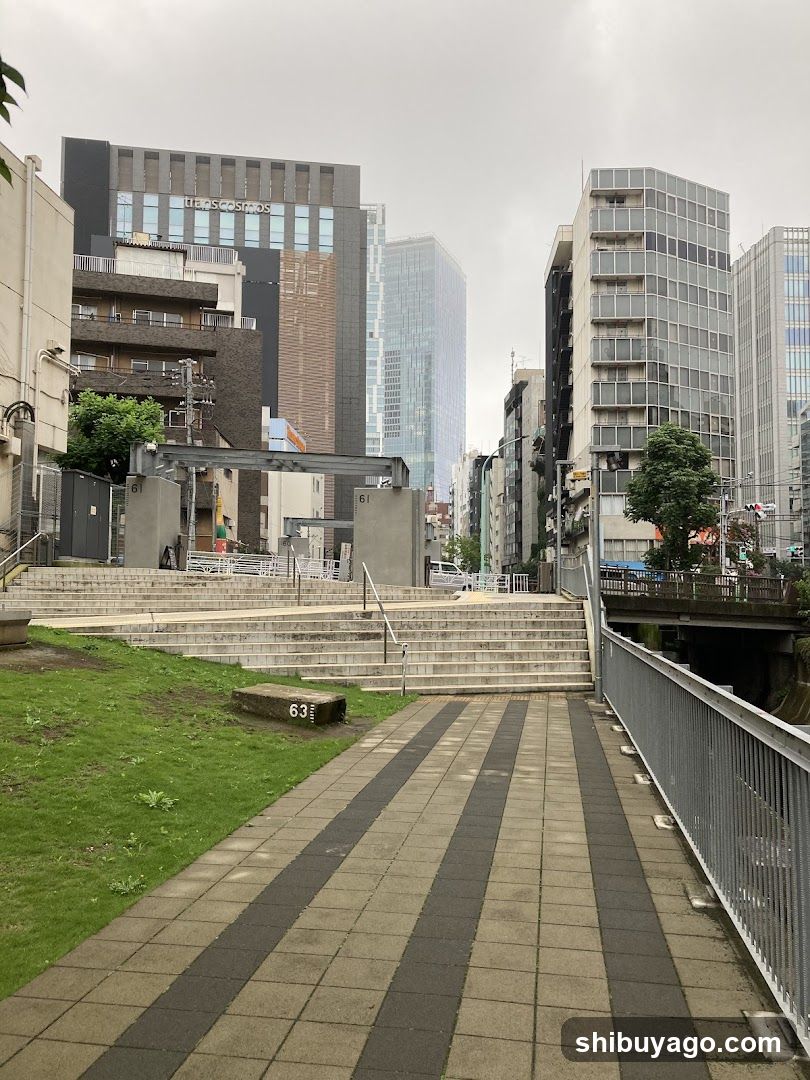 Urban staircase view with buildings