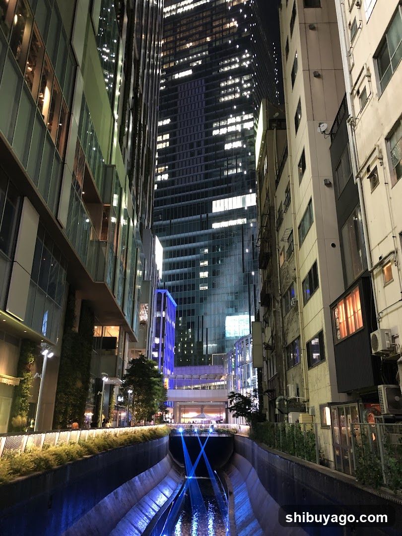Urban Night Scene with Illuminated Buildings and Water Feature