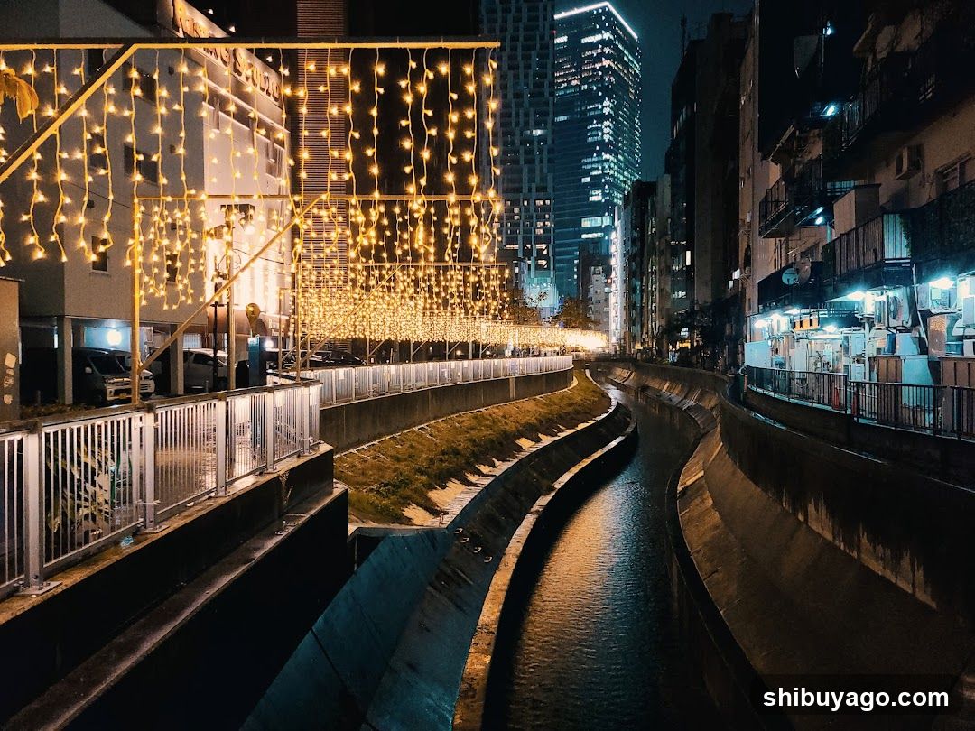 Night City Canal with String Lights
