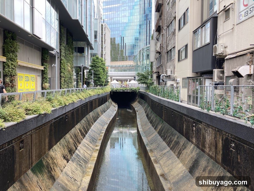 Urban Canal with Greenery