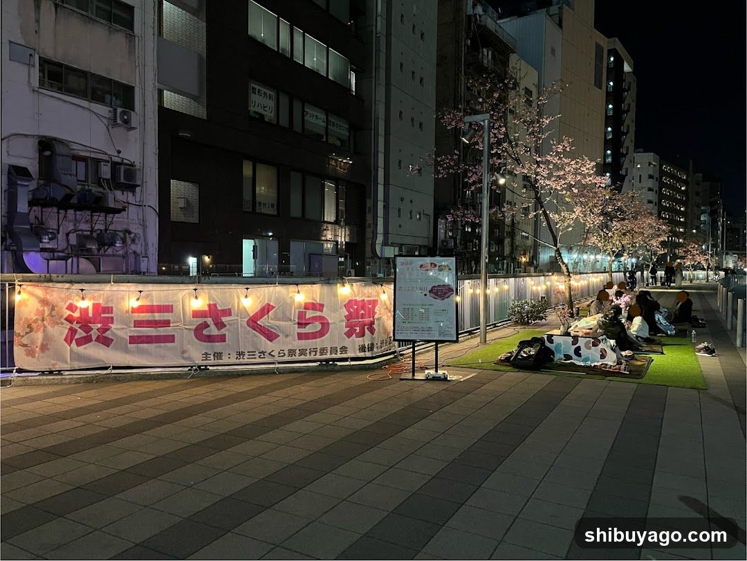 Sakura Festival Banner at Night