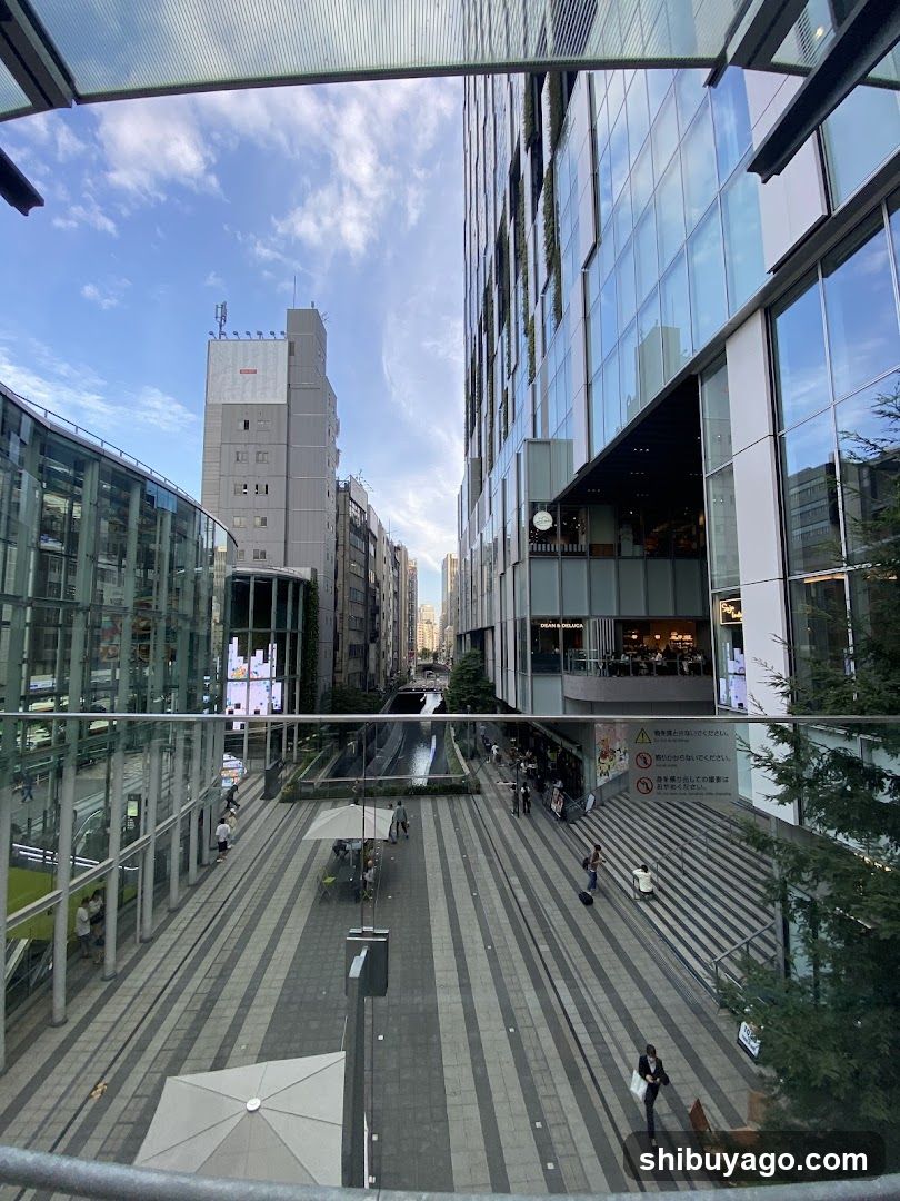 Urban plaza view with modern buildings and pedestrian walkway