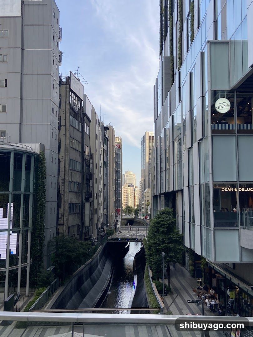 Urban Canal View with Modern and Traditional Architecture