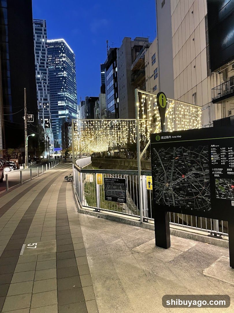 Urban Night Scene with Decorative Lighting