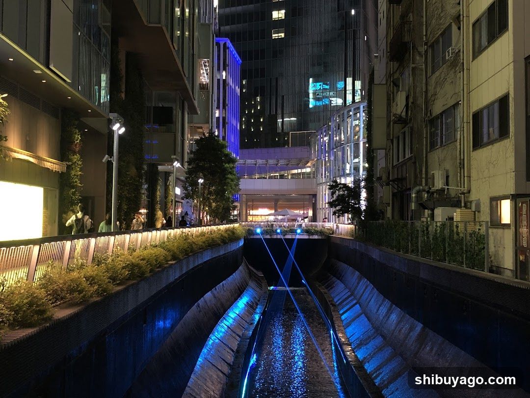 Night City Canal