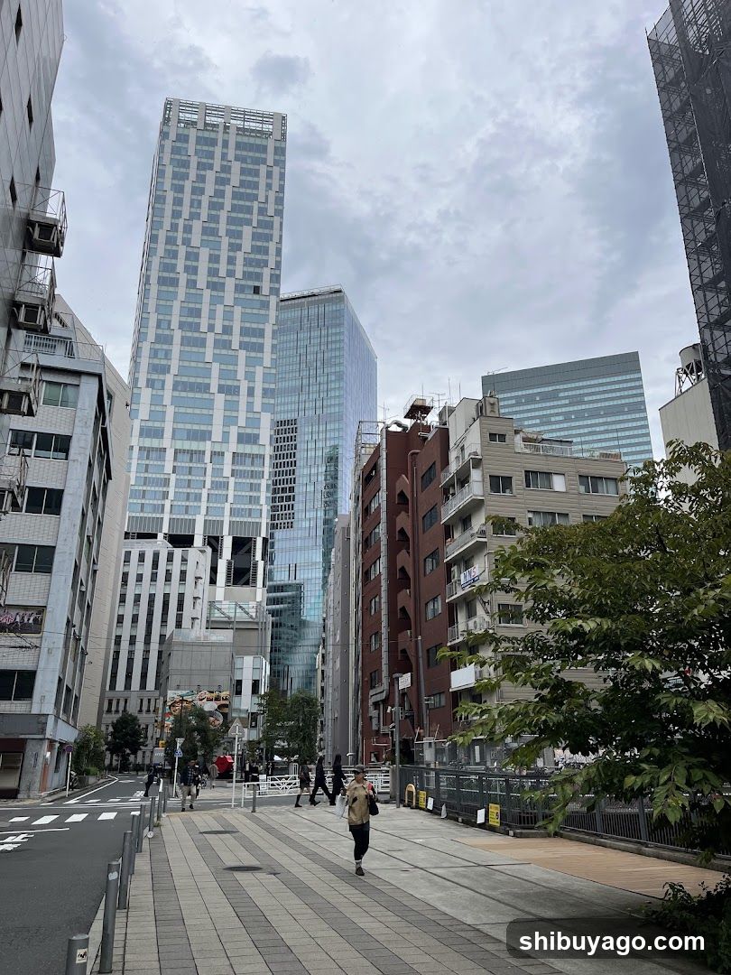 Urban Street Scene with Tall Buildings
