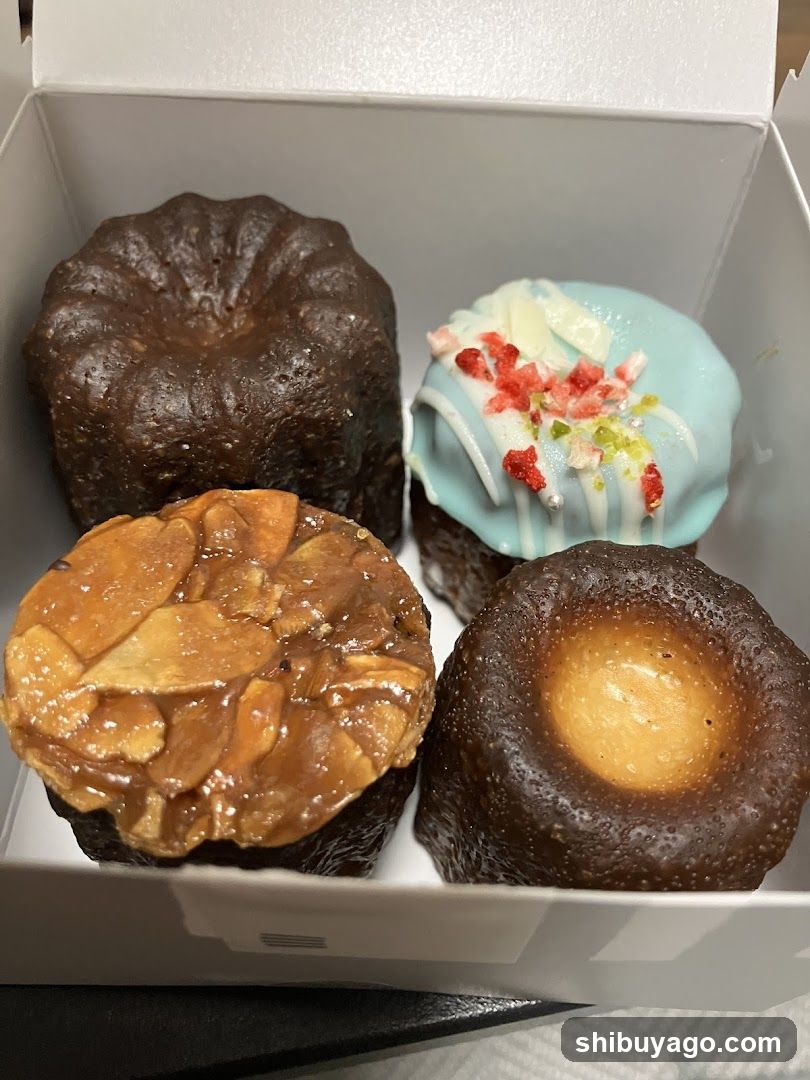Doughnut Box