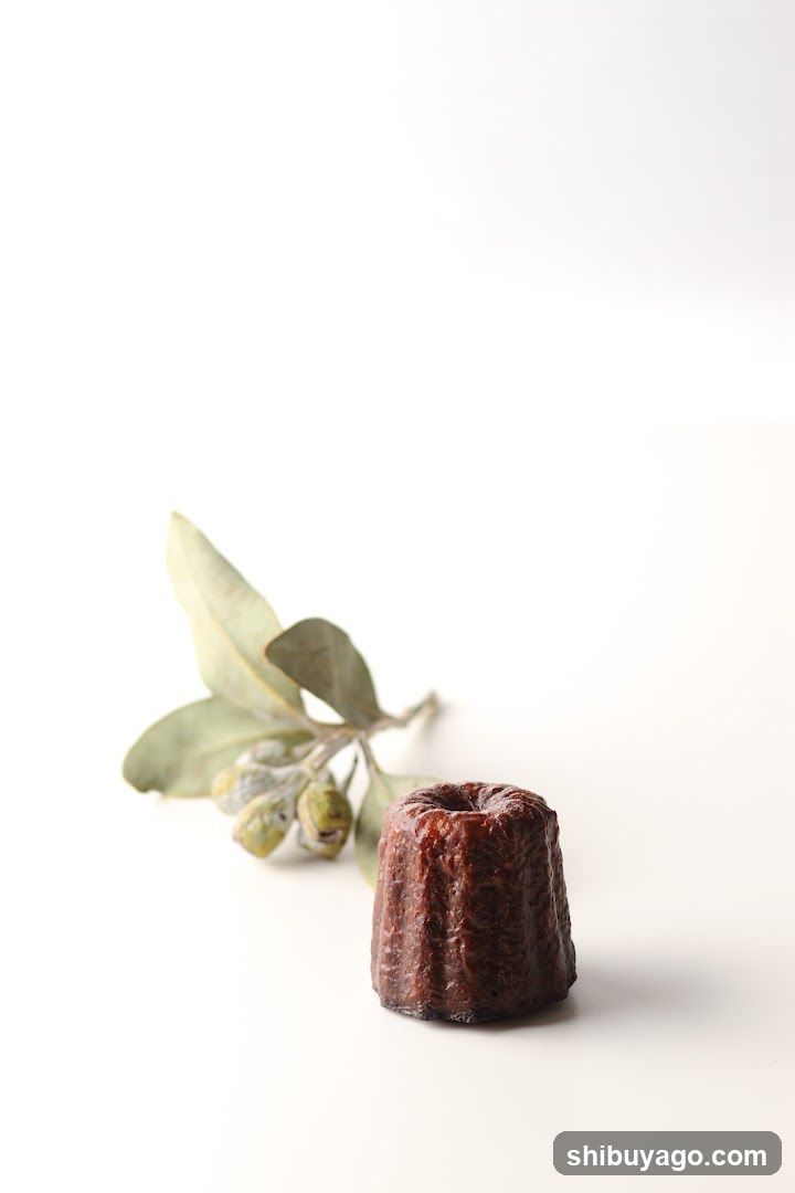 Canele with Olive Branch