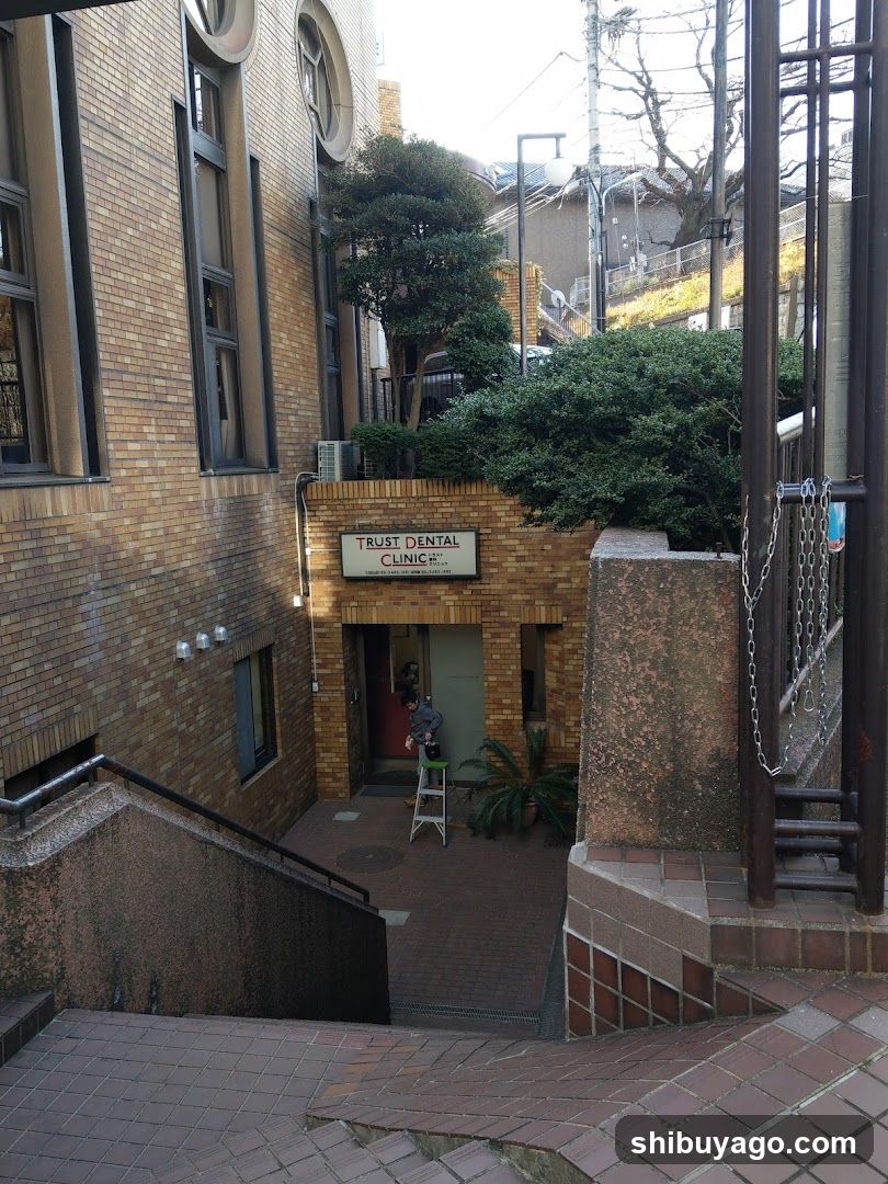 Trust Dental Clinic