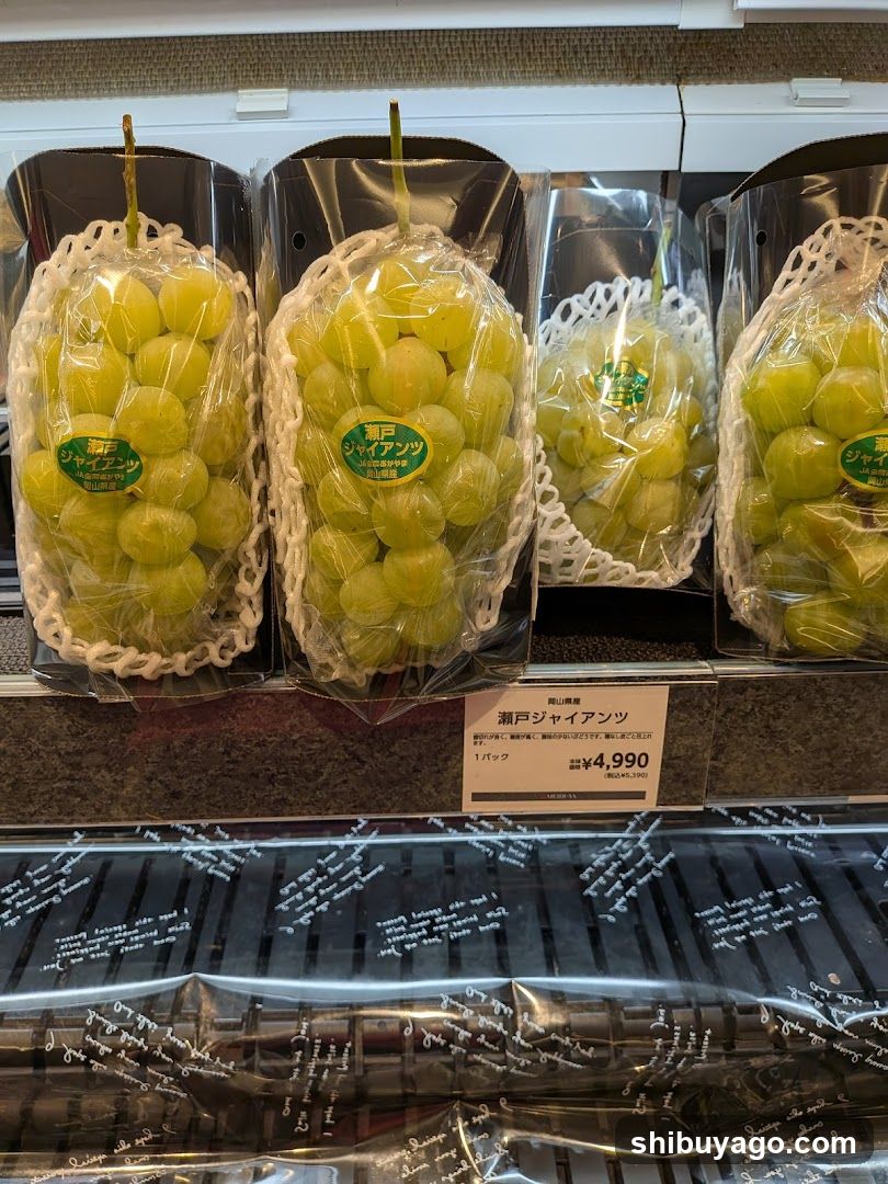 Shinagawa Giant Grapes Display