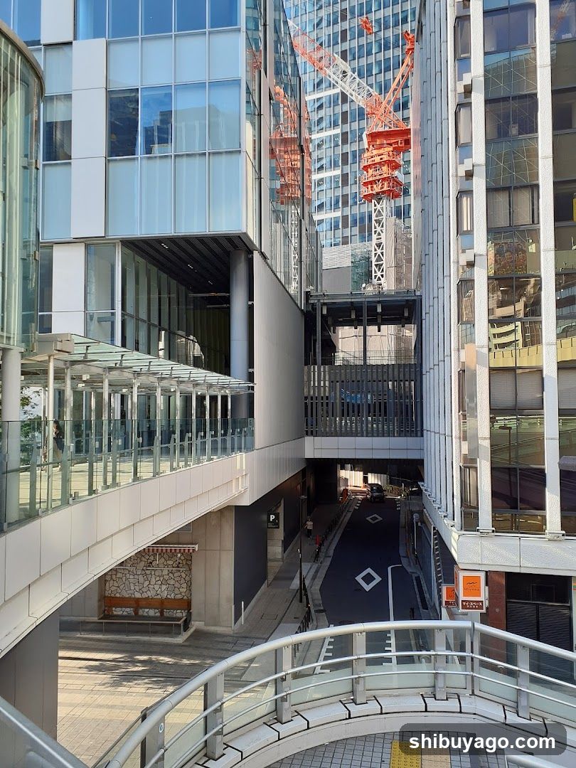 Urban Skyway with Construction Cranes